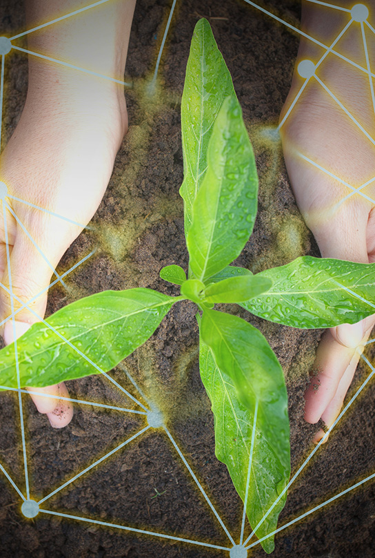 让客户满意、让员工满意、让股东满意